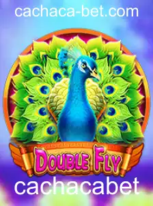 Explorando o Mundo do Jogo DoubleFly: Descrição, Introdução e Regras